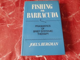 FISHING FOR BARRACUDA  - pragmatics of brief systemic t