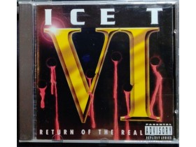 Ice T – VI: Return Of The Real