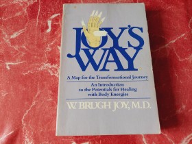 JOYS WAY a map for the transformational journey