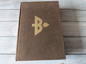 LA BELGIQUE  UN PANORAMA