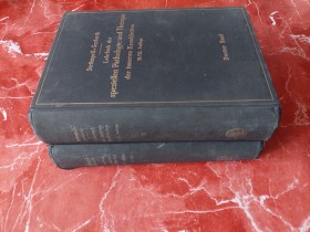 Lehrbuch der speziellen Pathologie und Therapie 1934