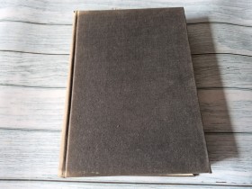 OBUHVATNI REČNIK PSIHOLOŠKIH I PSIHOANALITIČKIH POJMOVA