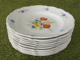 Set - 10 prelepih tanjira (Poland)