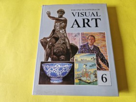 THE ENCYCLOPEDIA OF VISUAL ART 6