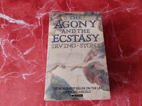 The agony and the ecstasy - Irving Stone