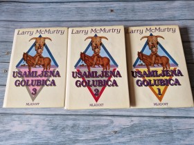 USAMLJENA GOLUBICA 1 - 3 - LARRY MCMURTRY