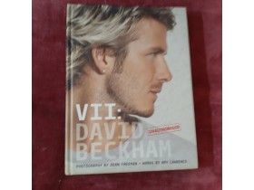 VII: David Beckham by Amy Lawrence and Dean Freeman