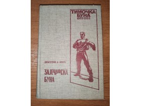Zaječarska buna - Dragutin J. Ilić
